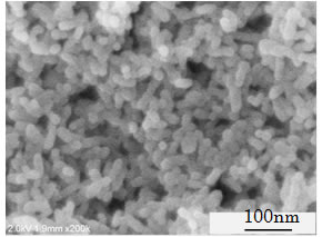 High-dispersion strontium carbonate nano particles viewed under a scanning electron microscope