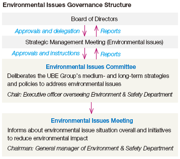 Environmental Issues Governance Structure