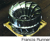 Francis Runner