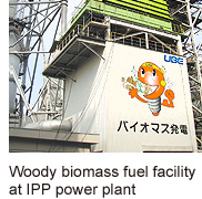 Woody biomass fuel facility at IPP power plant
