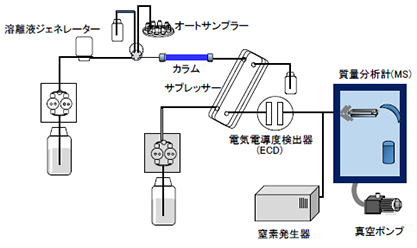 図2：装置概略図