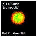 （b）EDSマップ（赤：Pt、緑：Pd）（加速電圧：120kV）