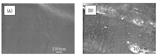 図2：リチウム金属表面のSEM観察　（A）大気遮断状態、（B）大気暴露（1分）後